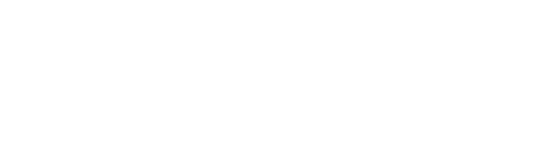 Selle SMP logo